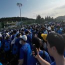 마루국제음악제 초청 금난새 카니발 오브 뮤직<생상 : 동물사육제> | 대전전시 대전행사 8월 정보 8월 8월 7일 대전공연 16일 싸이 흠뻑쇼