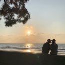 구시포노을캠핑장 이미지