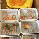 원당청정목장 이미지