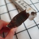 GS25김해대동점 이미지