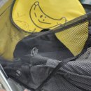 성내천 물놀이장 화장실 | [아기랑 가볼만한 서울 무료 물놀이장] 🏖 성내천 물놀이장 후기 (수질 걱정 없는 여름 피서지)