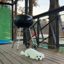 견생식탁 | 가평카라반 추천 가평힐링피아풀카라반글램핑 후기