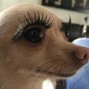 유어라인의원 | 판교 분당 편평사마귀 무제한 제거 가격 | 내돈내산 후기