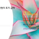 경기 남양주 창현리 토지 급매 / 단필지 / 소액투자가능 / 지분투자가능 이미지
