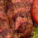 갈마애견 이미지