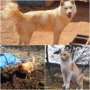 다물농장 이미지