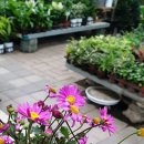 미림플라워 이미지