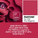 비바인테리어 - 고양시 일산서구 대화로 124 | 비바인테리어