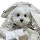 멍블멍블 이미지