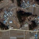 영동초교 이미지