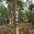 진전면952 이미지