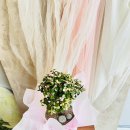 신월동208 이미지