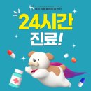에이치동물메디컬센터 이미지