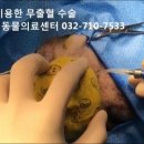 부평24시 SKY 동물의료센터 이미지