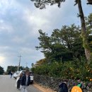 달제주