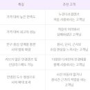 비젼라이프