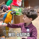 처인성로 | 용인 수달앤쥬 후기｜아이 하원 후 가기 좋은 용인 실내동물원