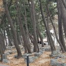서해랑길 92코스 이미지
