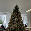 탕정로 | 천안아산 카페 모음☕️한움/로파이/듀트/스몰타운커피