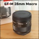 31140-6-28-3 | 만년필 닙의 미세한 세계를 담다: 캐논 EF-M 28mm f/3.5 Macro IS STM 영입기