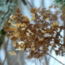 함평자연생태공원 이미지