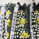 2020년5월 24,25일 이미지