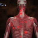 리핏앤케어 이미지