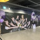 못하면 예술의 가치가 없나요? : PURPLE KISS (퍼플키스) 2025 TOUR A Violet to Remember in 서울 후기