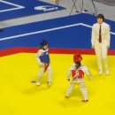 드림코리아 태권도 이미지