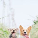 승인세무회계