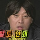 사카나 이미지