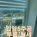 입암현대 공인중개사사무소 | [강릉 입암5주공 월세]몸만 오세요 !풀옵션 완비된 감성 가득한 투룸 월세/샷시까지 완벽 리모델링!강릉...