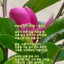 연서네