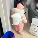 힐링주의 | [성수] 귀여움 한도초과 가나디 팝업스토어 🐾 심장 뿌시는 힐링 후기 (뒷북주의)