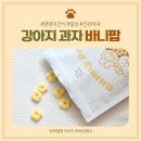 마음껏 먹일 수 있는 강아지 간식 코코댕 바니팝 후기