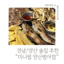 미니펍양산