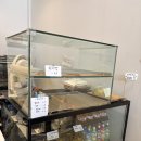 동해시-60 | 강원도 동해 묵호 흑임자라떼 맛집 카페 라운드어바웃 ㅣ 맛평가 등 내돈내산 후기