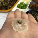 해덕수산 | 속초 대포항 수산시장 회 센터 대게와 복어회 내돈내산
