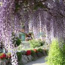 해곡동마을회관 이미지