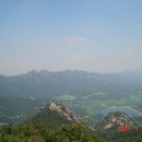 태선목장 Daum카페
