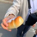 조지아팜 | 삿포로 여름 일일 비에이투어 예약 코스 점심 일정 정리