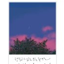 핑크빛행복