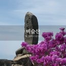 100대 명산 비슬산 유가사 천왕봉 참꽃군락지 등산코스 시간 주차장 (2025.4.27. 실시간 참꽃 개화상황)