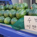 수박곡 네이버블로그