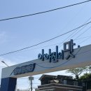 동해낚시 - 영덕군 예주시장길 42-1 | 동해 피문어 선상낚시 후기. 강원도 고성 아야진항 [드래곤피싱호]