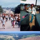 우드스탁 이미지