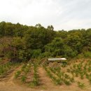 산속골농장 이미지