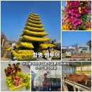 고성발효사료영농조합법인 | 함평 가볼 만한 곳 국향대전 귀농어귀촌지원센터 팸투어 후기