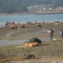 삼동면 전도3 이미지