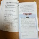 성인기초영어 초급1 | [서울 종로] 종로영어회화 'EDB 어학원' 회화 매일반 초급 솔직 후기, 소규모 성인영어회화 추천